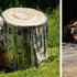 20100813183707-time_lrg