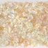 20100814103841-siennaweb