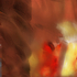 20100814122108-painting1