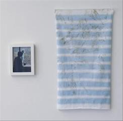 Hand-painted Cloth used to Cleaning Window,Lee Kit