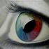 20100816013639-eyes_spectrum