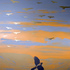 20100816101518-5-coming_home