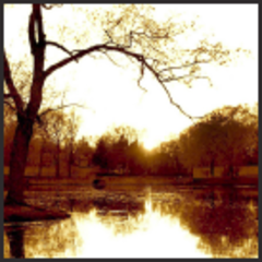 Sepia Pond,Lucie Wicker