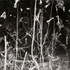 20100817060337-bois_bras_print