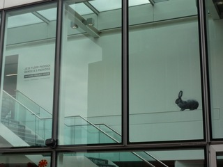 Exhibition view,Jess Flood-Paddock