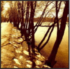 Sepia Tree Bank,Lucie Wicker