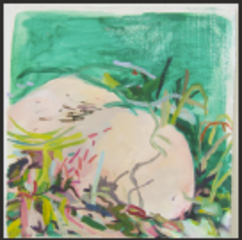 Belly Bulge,Jane Fox Hipple