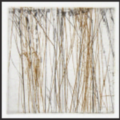 Duel-Layer Spectrum,Ted Ollier