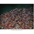 20100817152659-artslant-rg-from-sp131-dscn2391