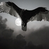 20100824073848-ghost_of_the_darkness_ds_a
