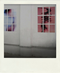 ,Matthew Miles