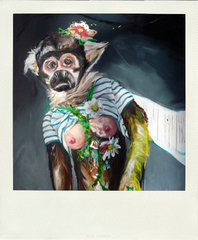 Mister-Missue Monkey versus Parrot,Anja Priska