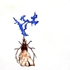 Elk_with_pneuma