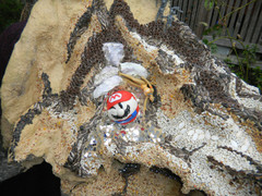 20100818181704-april-dragohead-05web_05