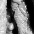 20100819012614-1099