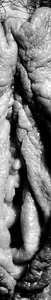 20100819012614-1099
