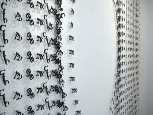 20100819093433-kanarek_origine_detail2