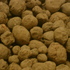 Dsc03435