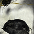20100819140059-into_the_realm