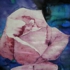 L_ede5f47dceceaf0759700218a657b8c7