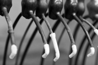Untitled #6, Machine Series,Marisol Diaz