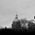 20110515185235-dsc_0255