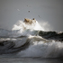 20100821145350-birds_of_storm_final_cut_h2_ret