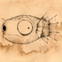 20100821202639-leon_the_puffer