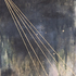 20100822142553-light-finds-its-way-7195