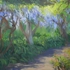 D_damm_abalone_cove