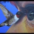 The_sweetness_in_the_eye