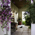 20100824155713-bouganvillea_1