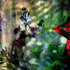 20100824175914-003__24aug