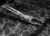 20100824190935-007__24aug