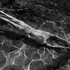 20100824190935-007__24aug