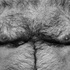 20100825104258-pecho_4