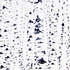 20100825125330-07