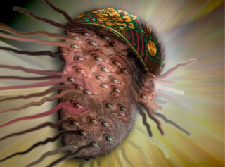 Lee faces a dream,Nancy Bechtol