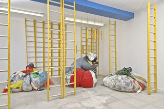 Attitudinasaurus Rex (installation view),Agathe Snow