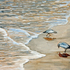 20100826170143-seabirdspleiades