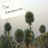 20100827101458-albumartwork