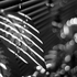 20100827121421-music_of_light_black___white_02