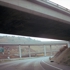Duck_640