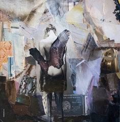 Wings,Bruna Tomsic