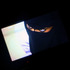 20100830122725-30x40cm-3