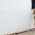 20100831024404-ross_7_32_tuesday