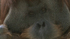 20100831042300-conflicted_pic