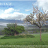 20100831043201-heritage_2