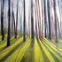 20100831130234-treeline