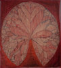 20100831165625-red-lillyweb